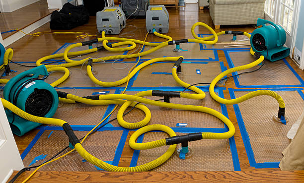 Professional Crawl Space Water Removal technician working in Agate, CO